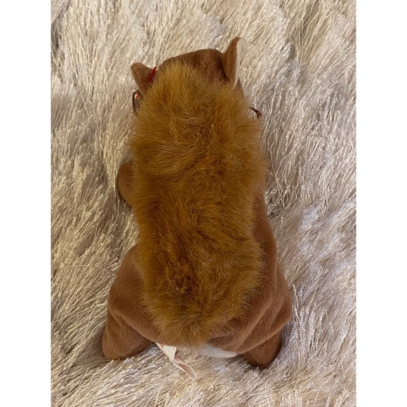 𖣘ⴽ𝖠ⴽⴹ𖣘   RARE Ty Beanie Baby NUTS the SQUIRREL 🐿️ with ERRORS❗️   ꢳ⊂❝᎖ᘸꢳ - Picture 11 of 11